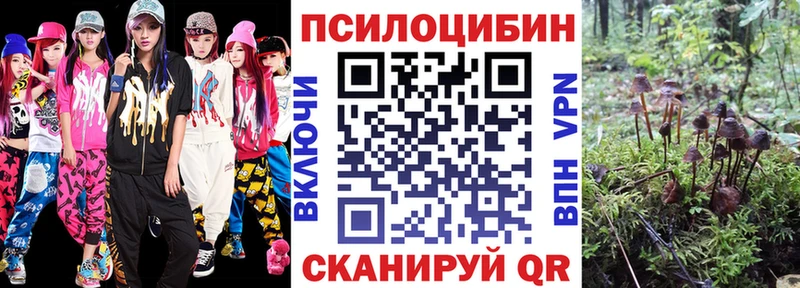 Псилоцибиновые грибы Cubensis  МЕГА онион  Светлогорск 